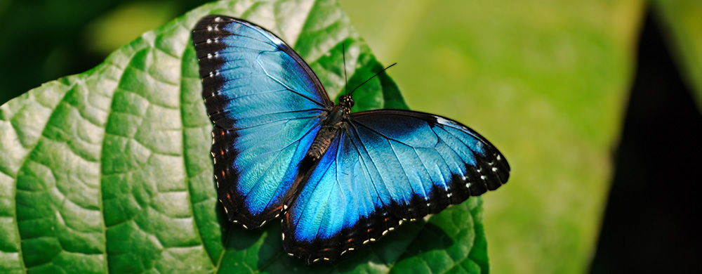 An image that represents the exhibition.