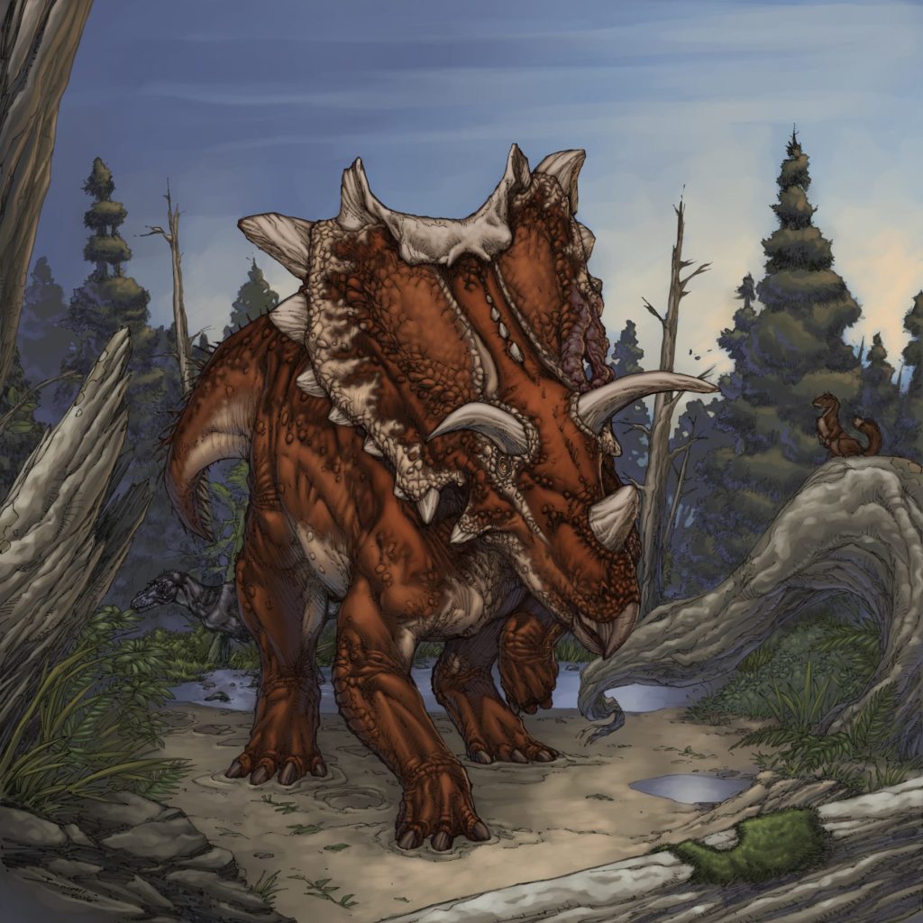 Spiclypeus shipporum Canadian Museum of Nature