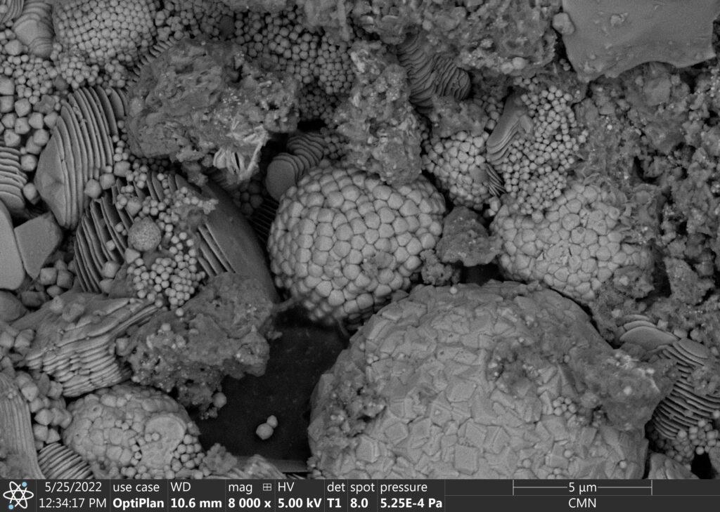 A Wet Visitor from the Asteroid Belt - Canadian Museum of Nature