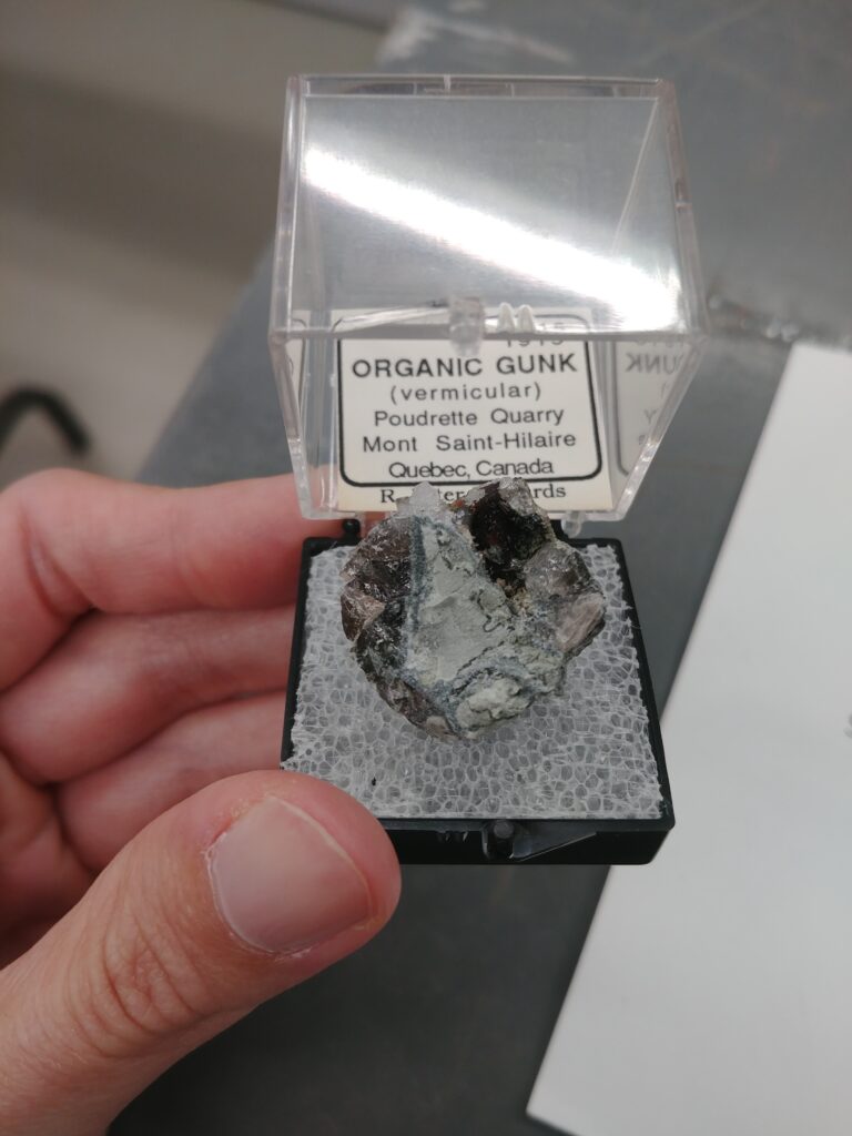 Se connecter grâce à la collection - Musée canadien de la nature