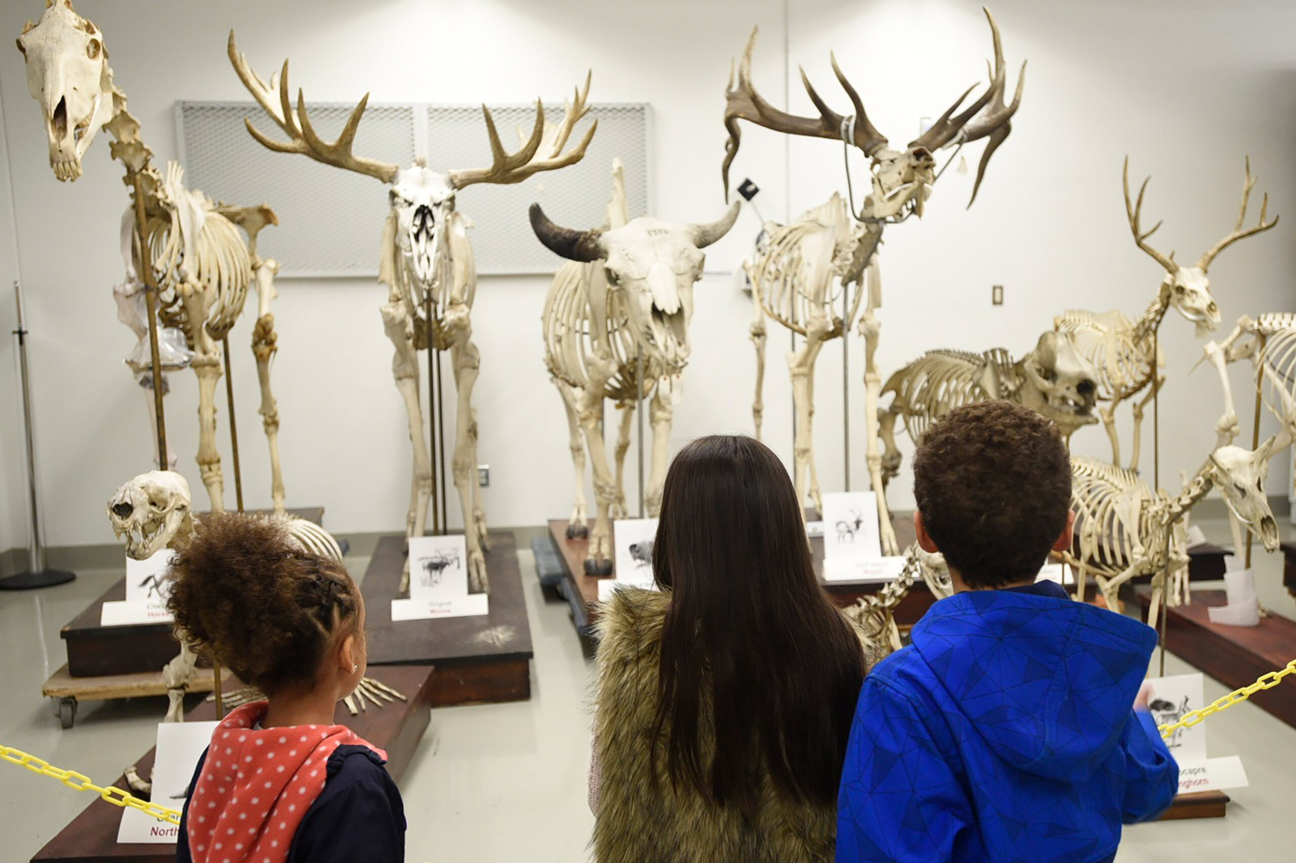 Free Open House: Collections of Canadian Museum of Nature in Gatineau at Natural Heritage Campus, Sat, Oct 17