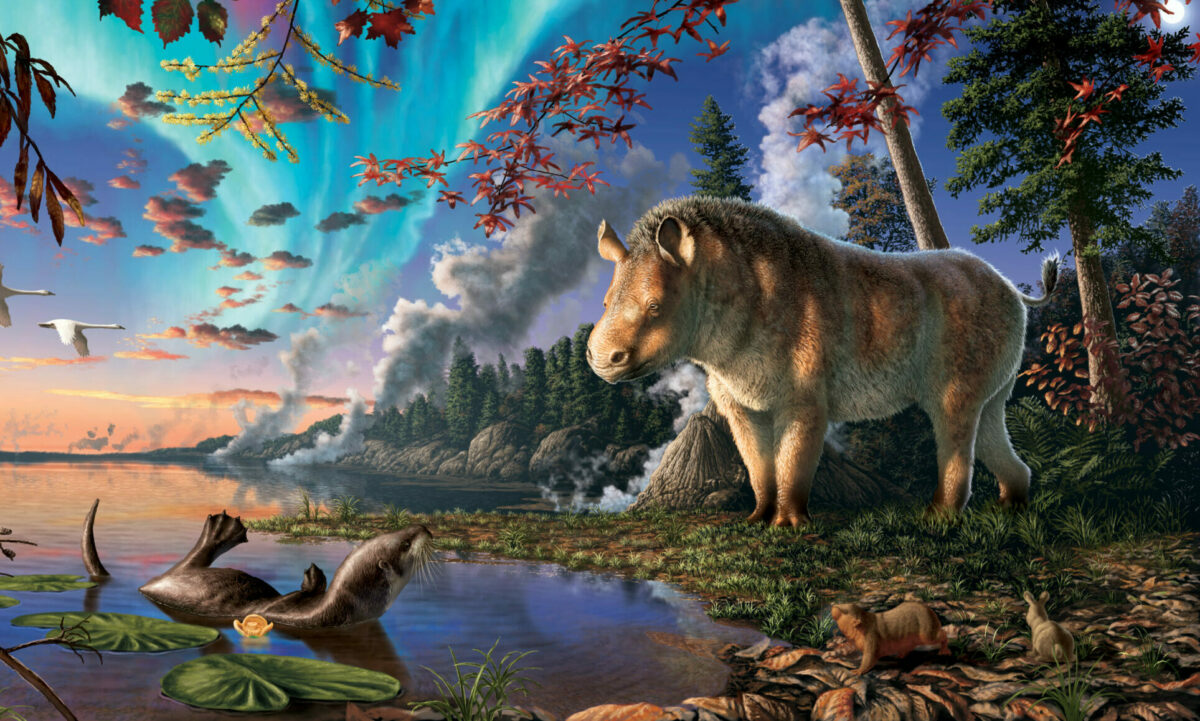 Illustration of a a rhino standing on the edge of a lake.