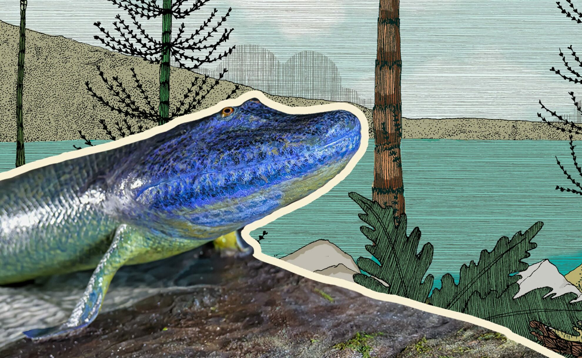 Wolf Evolution - Canadian Museum of Nature