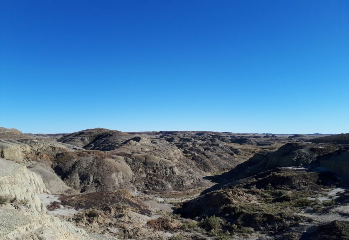 Dangers of the Badlands - Canadian Museum of Nature